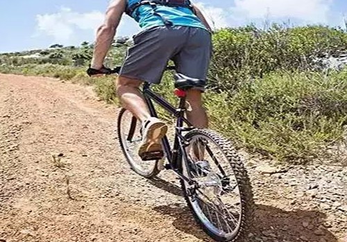 mtb