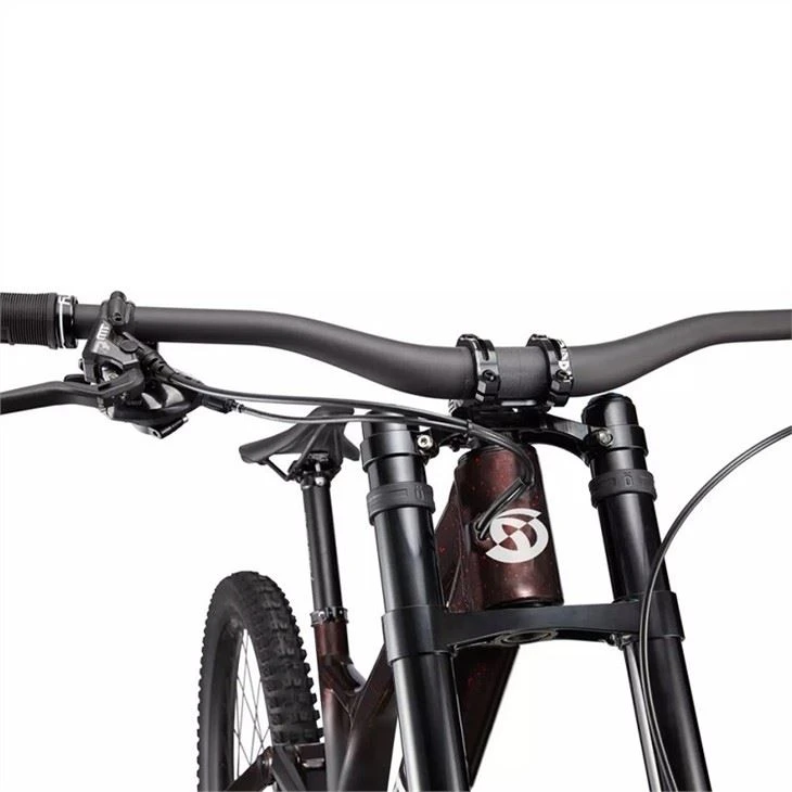 women's downhill mountain bike6