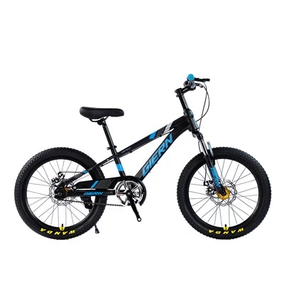 Beic Mynydd Hardtail 26 modfedd