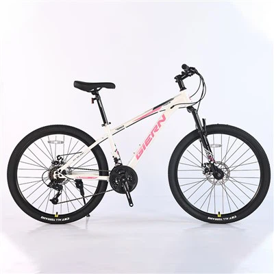 26 Mtb Hardtail Ffrâm