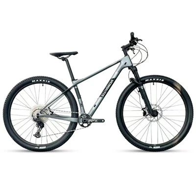 Beic Mynydd Carbon Ffibr 29 Modfedd